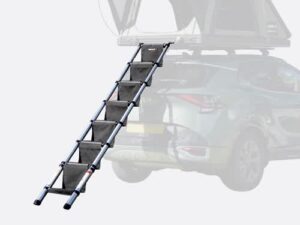 laddersteps.jpg LadderSteps