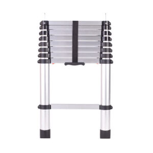 pioneer-ladder.jpg Pioneer Ladder