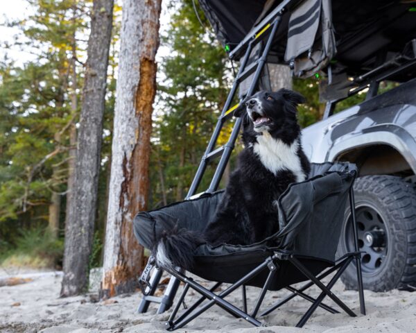 the-pet-lounger-quick-fold-dog-camp-chair the-pet-lounger-quick-fold-dog-camp-chair